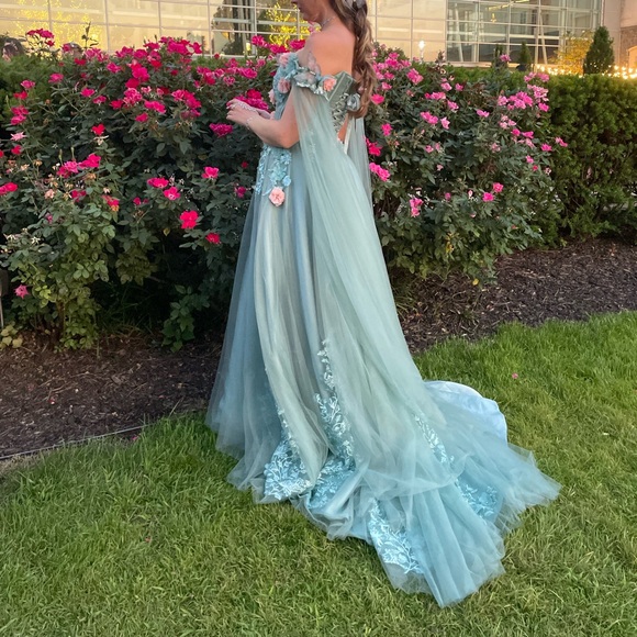 Fairytale prom dress gown - Picture 3 of 5